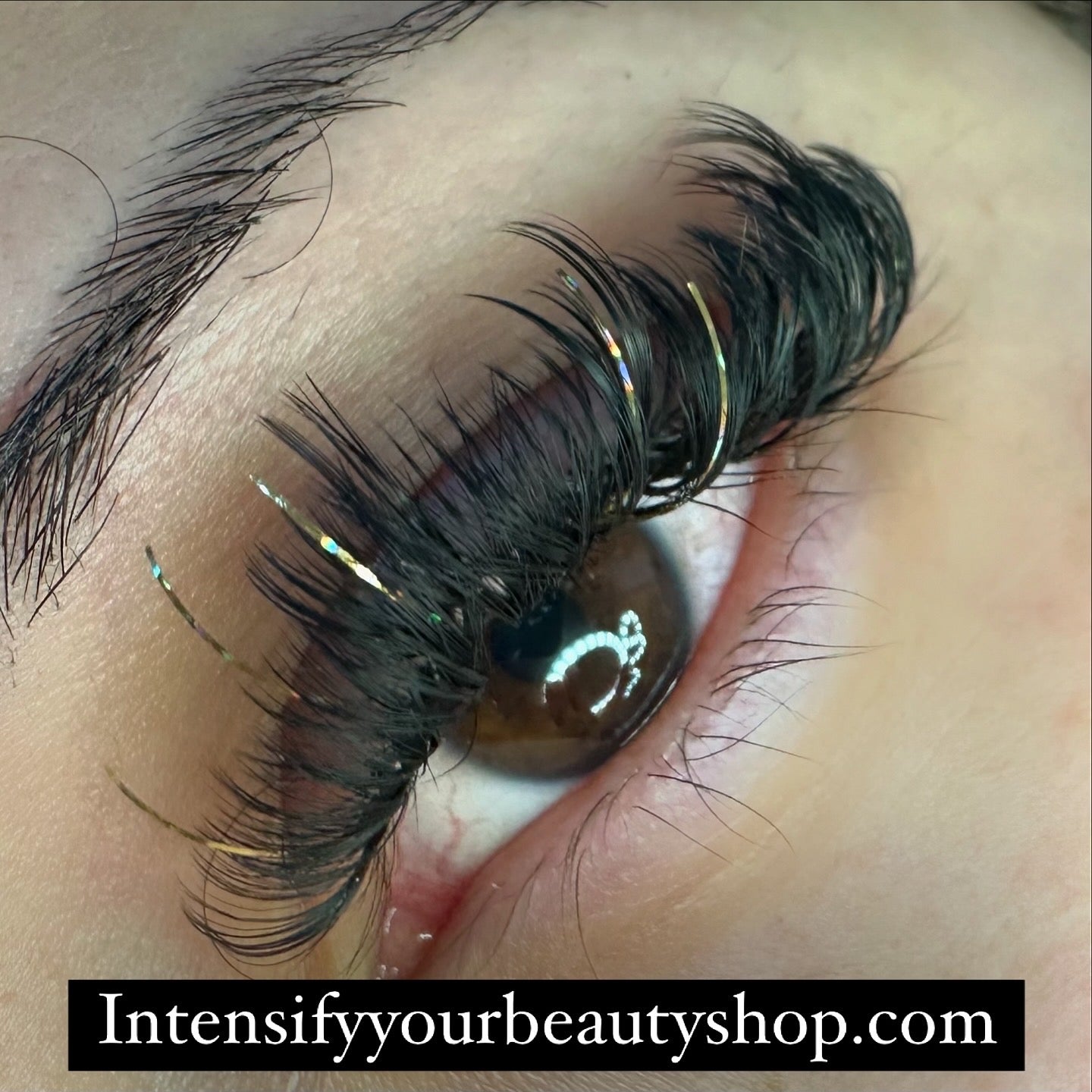 Creative Lash Manual